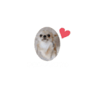 コニシ's（個別スタンプ：3）