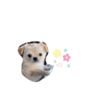 コニシ's（個別スタンプ：4）
