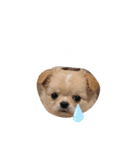 コニシ's（個別スタンプ：5）