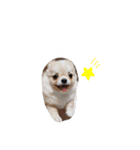 コニシ's（個別スタンプ：6）