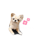 コニシ's（個別スタンプ：7）