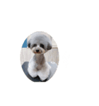 コニシ's（個別スタンプ：9）