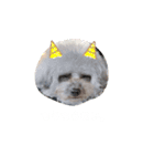 コニシ's（個別スタンプ：10）