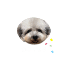 コニシ's（個別スタンプ：12）