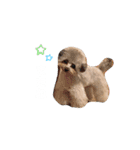 コニシ's（個別スタンプ：13）