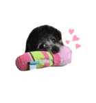 コニシ's（個別スタンプ：15）