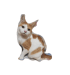 家の猫ズ（個別スタンプ：5）
