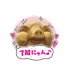 アンコさん6（個別スタンプ：1）