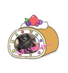 アンコさん6（個別スタンプ：24）