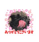 アンコさん6（個別スタンプ：25）
