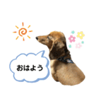ピーチちゃん スタンプ（個別スタンプ：1）