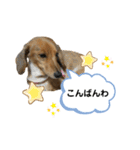ピーチちゃん スタンプ（個別スタンプ：2）