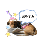 ピーチちゃん スタンプ（個別スタンプ：3）