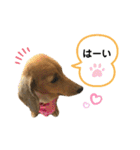 ピーチちゃん スタンプ（個別スタンプ：4）