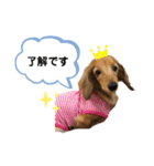 ピーチちゃん スタンプ（個別スタンプ：5）