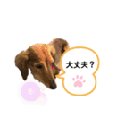 ピーチちゃん スタンプ（個別スタンプ：8）