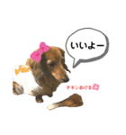 ピーチちゃん スタンプ（個別スタンプ：9）