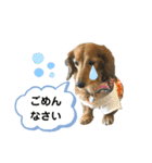 ピーチちゃん スタンプ（個別スタンプ：10）