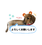ピーチちゃん スタンプ（個別スタンプ：14）