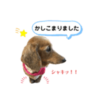 ピーチちゃん スタンプ（個別スタンプ：16）