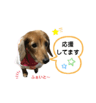 ピーチちゃん スタンプ（個別スタンプ：18）