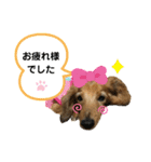ピーチちゃん スタンプ（個別スタンプ：20）