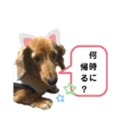 ピーチちゃん スタンプ（個別スタンプ：21）