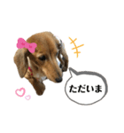 ピーチちゃん スタンプ（個別スタンプ：24）