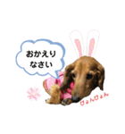 ピーチちゃん スタンプ（個別スタンプ：25）