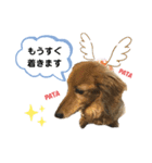 ピーチちゃん スタンプ（個別スタンプ：27）