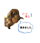 ピーチちゃん スタンプ（個別スタンプ：28）