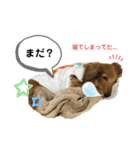 ピーチちゃん スタンプ（個別スタンプ：29）