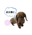 ピーチちゃん スタンプ（個別スタンプ：33）