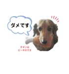 ピーチちゃん スタンプ（個別スタンプ：34）