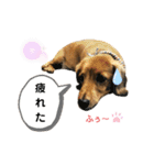 ピーチちゃん スタンプ（個別スタンプ：35）