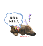 ピーチちゃん スタンプ（個別スタンプ：37）