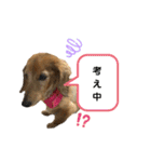 ピーチちゃん スタンプ（個別スタンプ：39）
