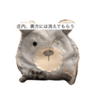 しょんない？うん、僕庄内（個別スタンプ：4）