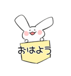 ぽけうさ（個別スタンプ：1）