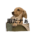 愉快な家の仲間たちスタンプ（個別スタンプ：3）
