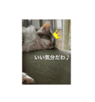 愉快な家の仲間たちスタンプ（個別スタンプ：4）