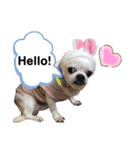 マイサムサム（個別スタンプ：1）