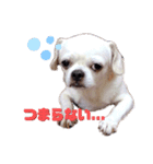 マイサムサム（個別スタンプ：3）