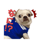 マイサムサム（個別スタンプ：4）