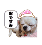マイサムサム（個別スタンプ：10）