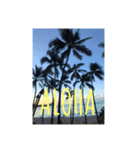 Hawaiian Messages.（個別スタンプ：1）
