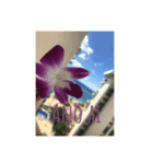 Hawaiian Messages.（個別スタンプ：5）