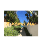 Hawaiian Messages.（個別スタンプ：6）