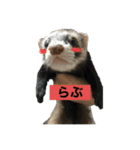 ぼくたぬきち！（個別スタンプ：6）