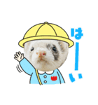 ぼくたぬきち！（個別スタンプ：9）